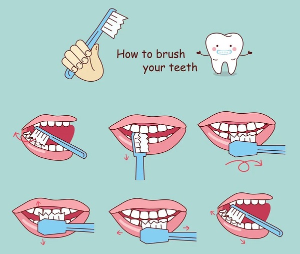 每天好好刷牙,就可以預防蛀牙了嗎？