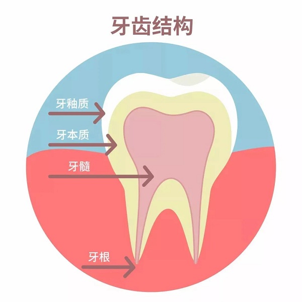 牙齒敏感是怎麼回事?導致牙齒敏感的原因有哪些