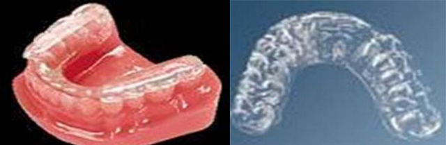 深圳磨牙墊多少錢