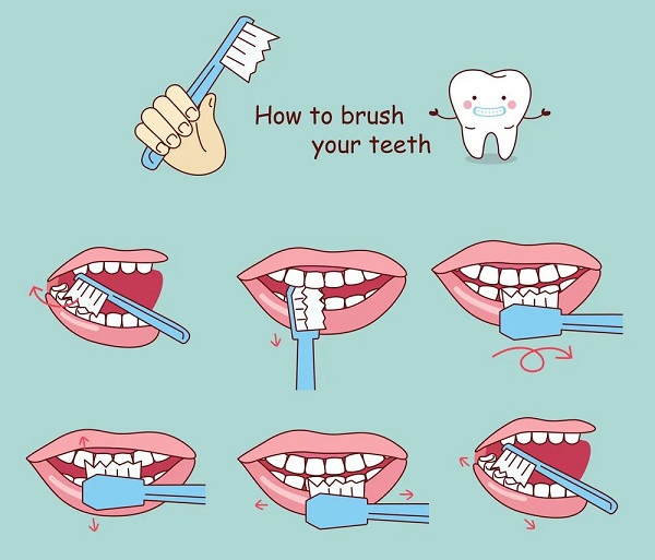 1769481571450490.jpg 刷牙方法.jpg